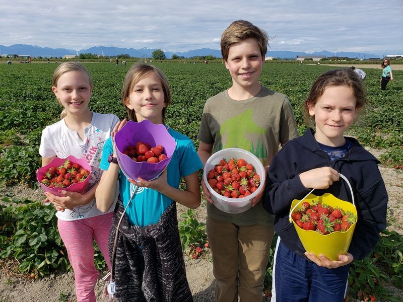 Emma Lea Strawberry Picking Children