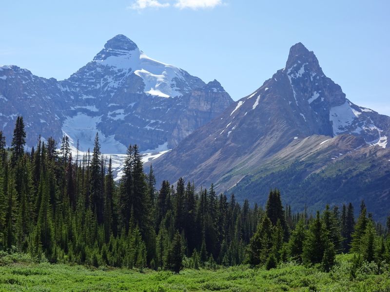 Parker Ridge Trail Mt Athabasca