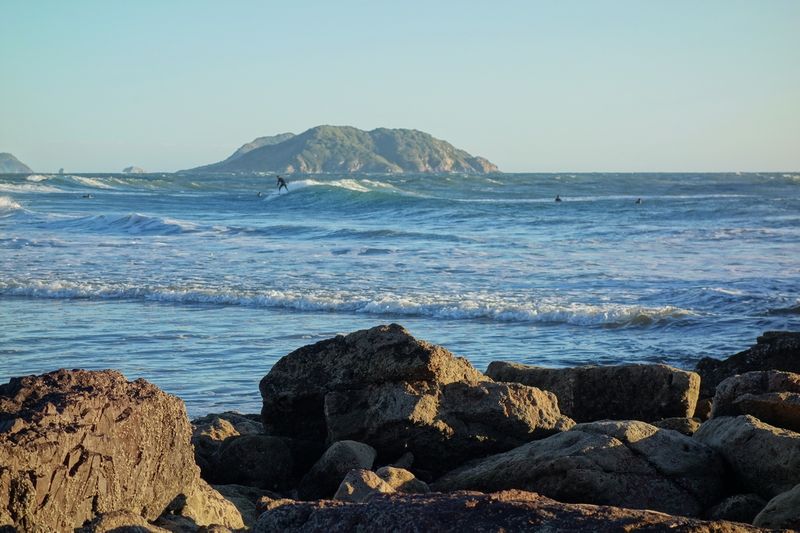 Playa Brujitas Mazatlan Surfing