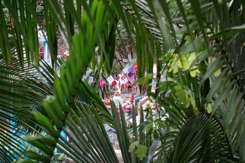 Sayulita Graveyard