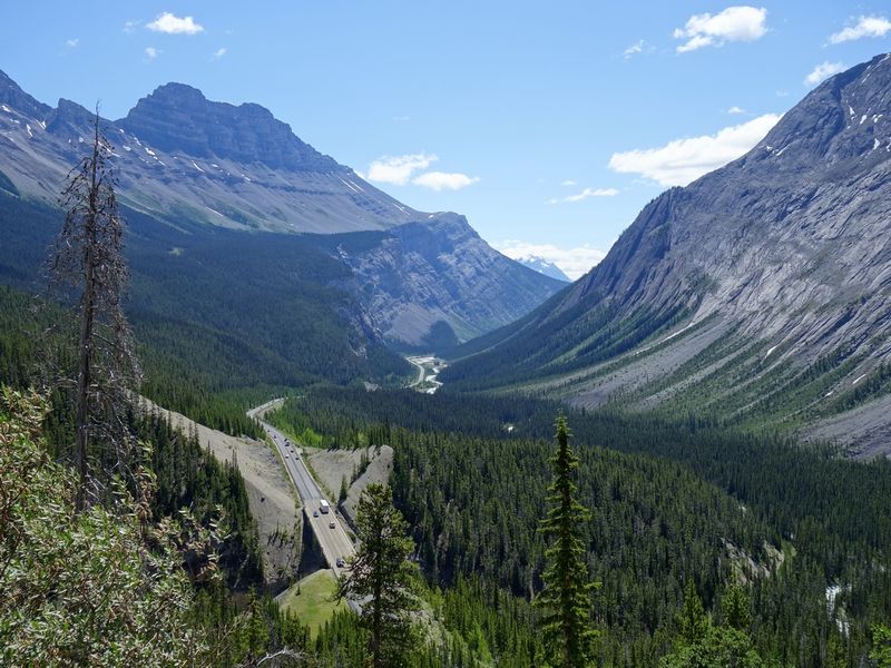 Sunwapta Pass