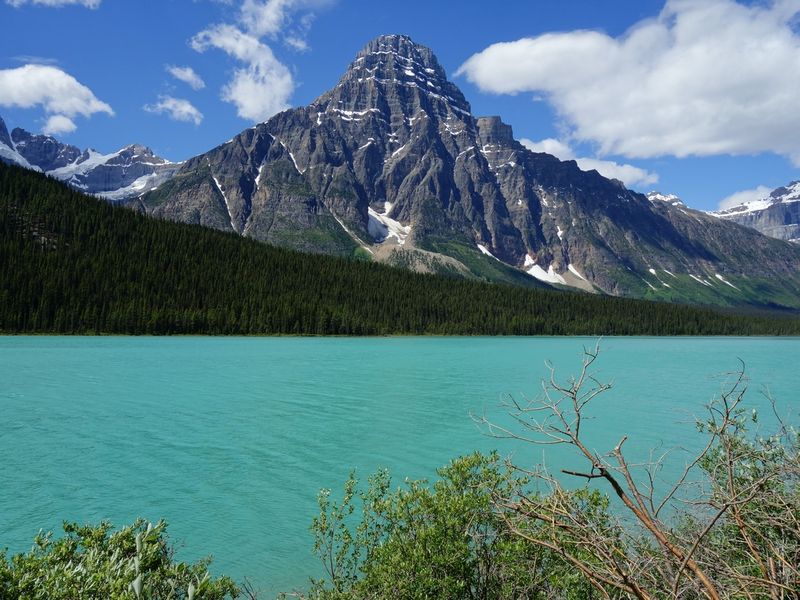 Waterfowl Lake