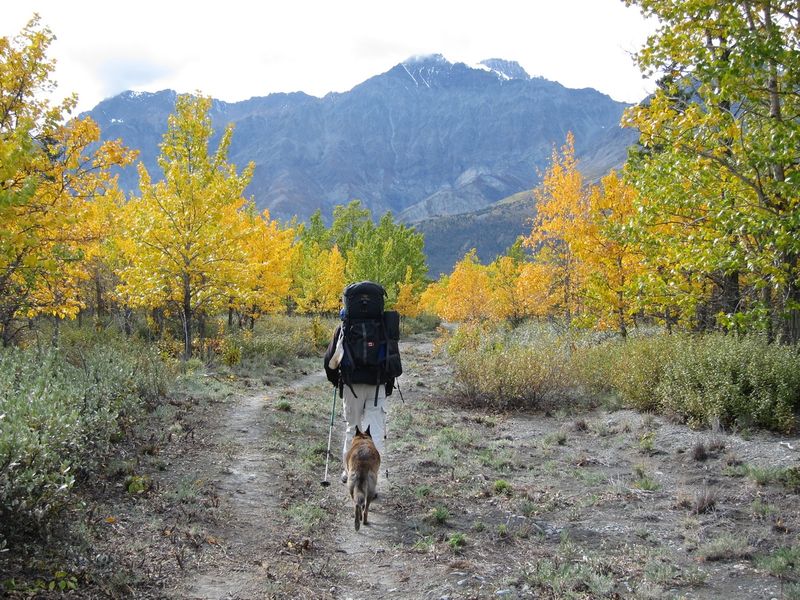 Yukon Hiking with Eric and Luna